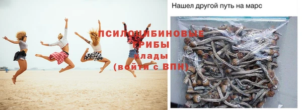 мяу мяу мука Аркадак