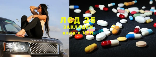 мяу мяу мука Аркадак