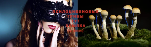 мяу мяу мука Аркадак