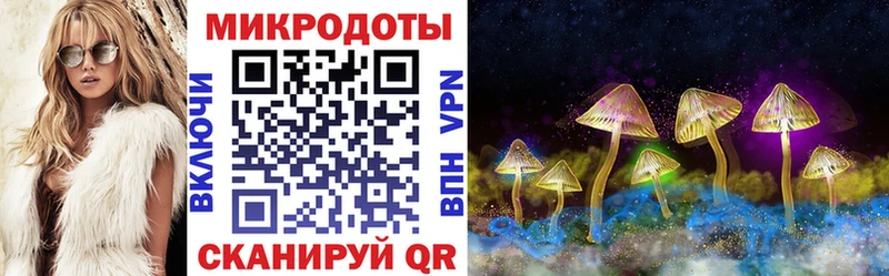 Псилоцибиновые грибы прущие грибы  Красавино 